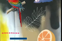 colagens004